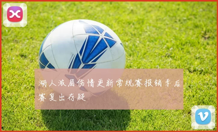 湖人浓眉伤情更新常规赛报销季后赛复出存疑